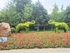 -长白岛森林公园