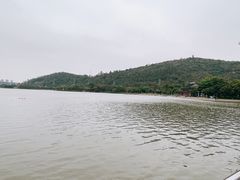 -顺峰山公园