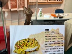 -房山世界地质公园博物馆