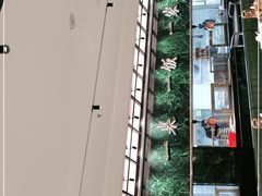 -大鸽饭(体育西路店)