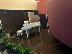 -鱼翅楼·津派砂锅鱼翅(水上公园店)