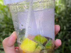 -炖物24章·顺时轻养茶(黄龙店)