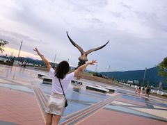 -巨鹰广场