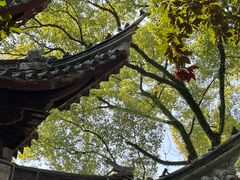 -天一阁博物院