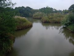 -梁鸿国家湿地公园
