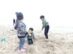 -仙人岛