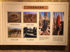 -巴音郭楞蒙古自治州博物馆