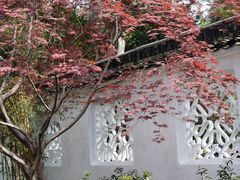 -拙政园