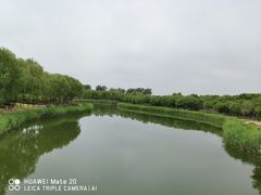 -大兴滨河森林公园