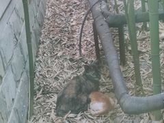 -荷风细雨·中国茶宴(碧云店)