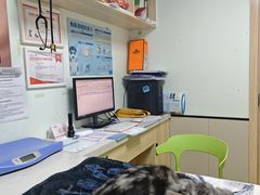 -格蕾宠物医院24H·猫科·肿瘤科·骨科中心(福州总院)