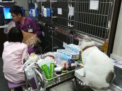 -宠爱国际动物医院·疑难骨科·心肾内科·皮肤科(太阳宫店)