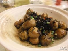 土豆xxx-金百万烤鸭店(马甸店)