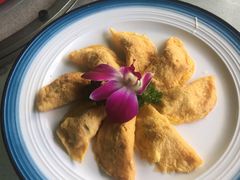 -墨脱石锅椰子鸡•香草鸭•东山羊(大东海店)