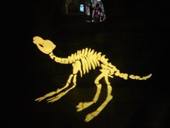 -多彩贵州城极地海洋世界