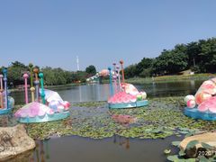 -映月湖公园