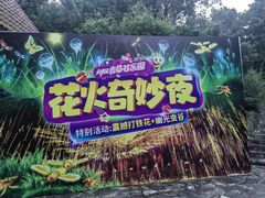 -大塘金香草谷