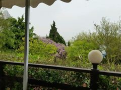 android_upload_pic-向日葵咖啡