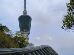 -梧桐山风景名胜区