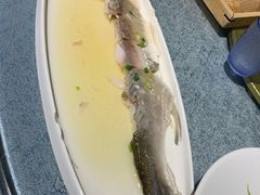 -韵秋荷(宝山龙湖天街店)