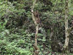 -西岭雪山大飞水景区