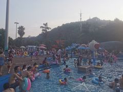 -重庆海昌加勒比海水世界