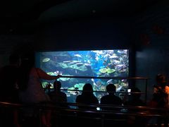 -暹罗海洋世界