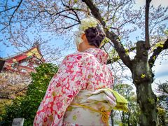-东京浅草和服体验江户和装工房雅(浅草本店)