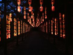 -茂德公草堂