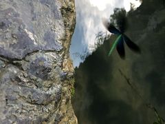 -天河潭旅游度假区