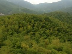 -宁波浙东大竹海景区