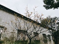 -拙政园