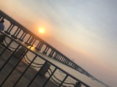 -宝安西湾红树林湿地公园