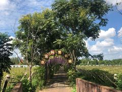 -扬州天乐湖嬉乐谷