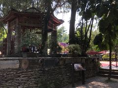 -老木棉·匠园