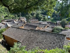 -杨家堂村