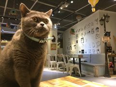 -小时光咖啡馆(开森度假森林店)