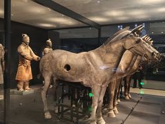 -秦始皇帝陵博物院-丽山园