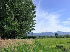 -林间山庄