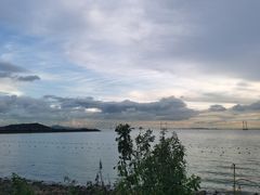 -宝安西湾红树林湿地公园