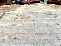 -广州市流溪河国家森林公园