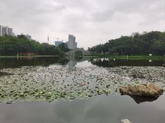 -映月湖公园