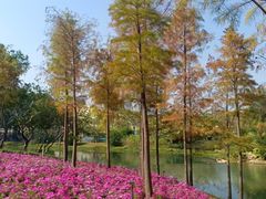 -云溪植物园