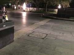 -上海浦东绿地铂骊酒店