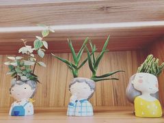 -发酵食堂(屏风街店)