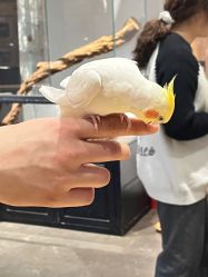 -Zoolung Zoolung动物主题公园(海信广场店)