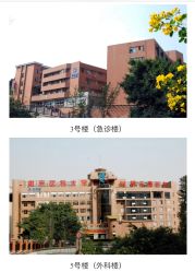 -重庆医科大学附属儿童医院(渝中院区)
