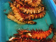-ZF Seafood Restaurant 卓峰海鲜餐