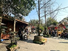 -青城甲(青城山店)