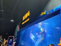 -郑州海洋馆